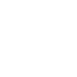 RSS icon Button linking to RSS feed for website
